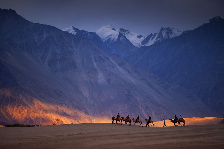 Explore lush orchards, scenic vistas and serene monasteries, as you enjoy a  thrilling ride on Bactrian camels at the Nubra Dm us your c