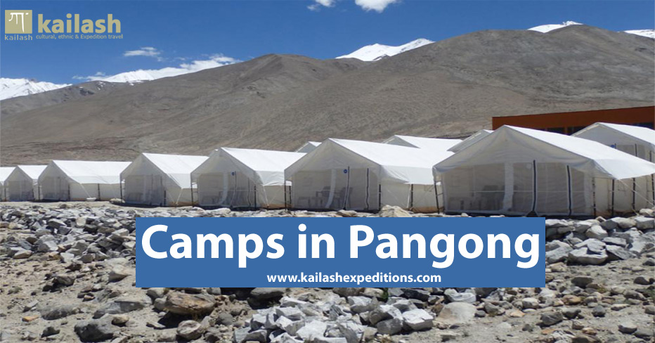 Camps in Pangong