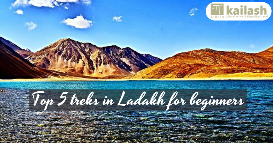 Ladakh Tour Packages with Flights