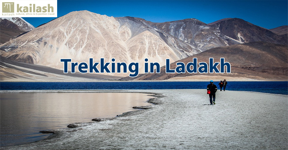 Trekking In Ladakh