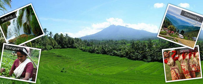 image descriprion